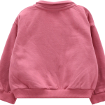 76D3113B_C736_B.png